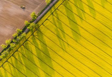 Corteva Agriscience paraksta līgumu par Stoller Group iegādi