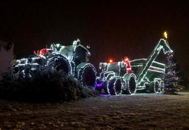 Sveicieni Ziemas saulgriežos!