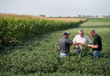 Syngenta izmantos mākslīgo intelektu, lai izstrādātu ilgtspējīgus augu aizsardzības risinājumus