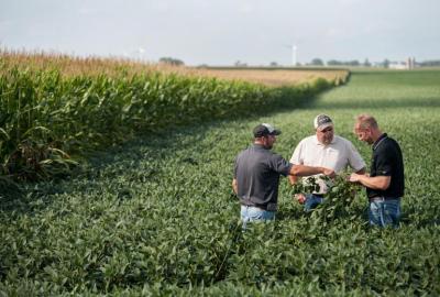 Syngenta izmantos mākslīgo intelektu, lai izstrādātu ilgtspējīgus augu aizsardzības risinājumus