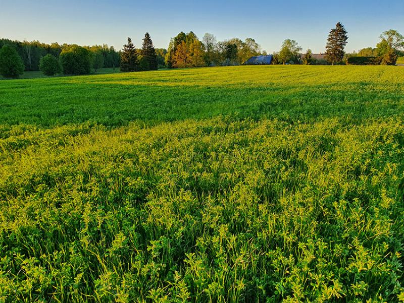 AnAgro semināri martā