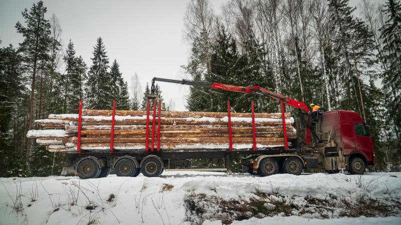 Darbs kokmateriālu pārvadātājiem. Piesakies konkursam!
