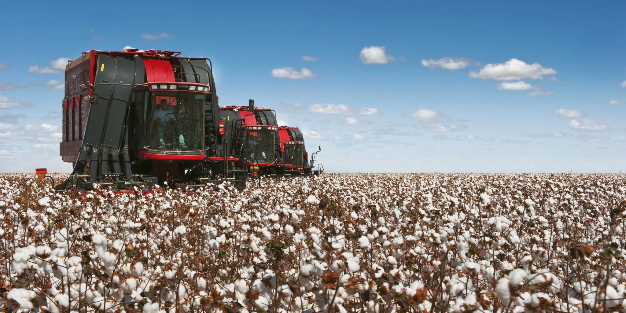 CNH koncernam iespaidīgs pasūtījums Uzbekistānā