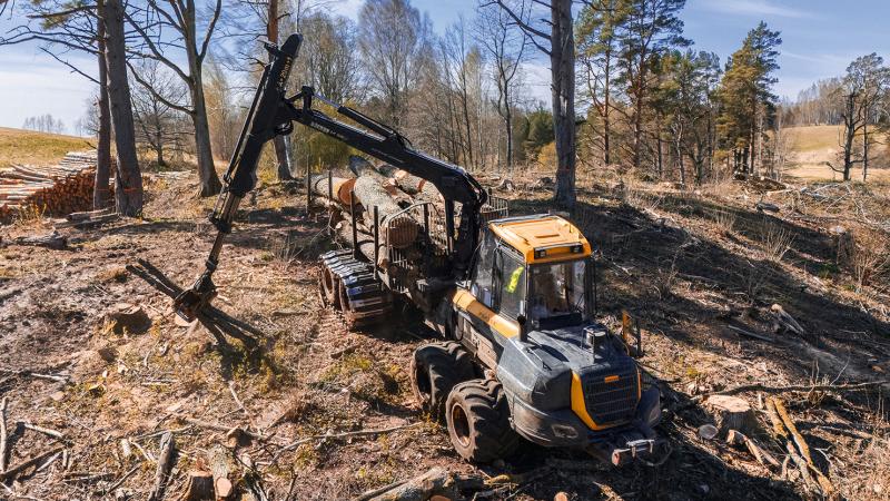 AgroCredit Latvia paplašina darbību – finansējums tagad pieejams arī mežsaimniekiem visā Latvijā