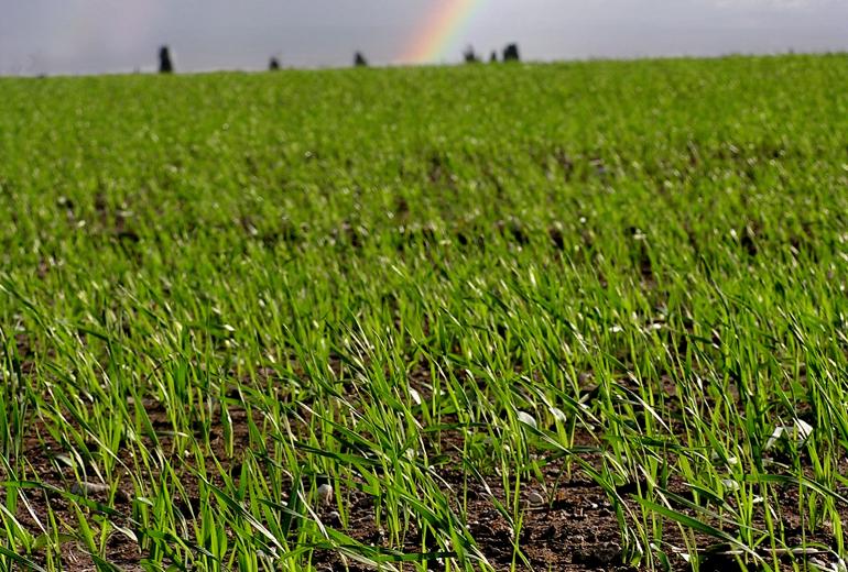 Linas Agro atklāj internetveikalu