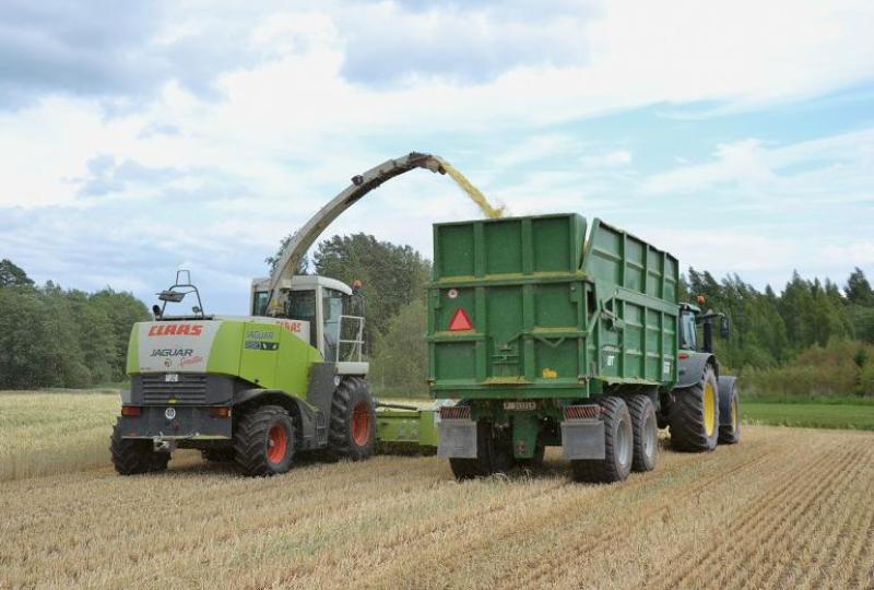 “Kam labāka skābbarība – latviešiem, igauņiem vai somiem?!” 15. maijā noskaidrosim!