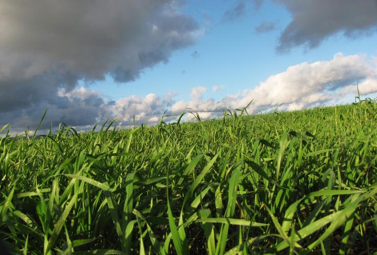 Syngenta iegādājas bioloģijas uzņēmumu Valagro