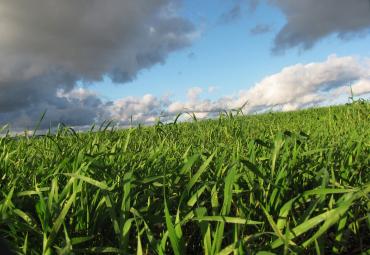 Syngenta iegādājas bioloģijas uzņēmumu Valagro