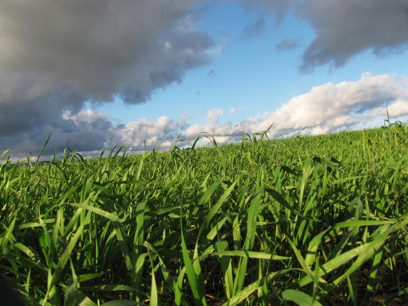 Biostimulatoru attīstības virziens