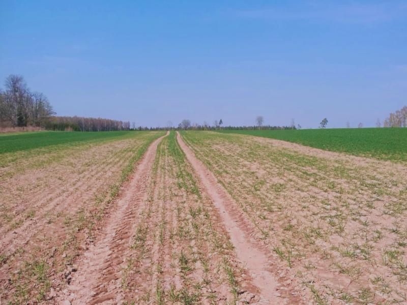 Scandagra eksperti brīdina: nepārdomāta rudens mēslojuma stratēģija var būtiski ietekmēt nākamā gada ražas potenciālu