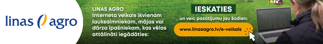 Profi banner under main article