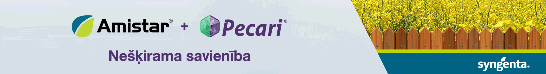 Syngenta Amistar + Pecari Dzeltens. 8 maijs 2023