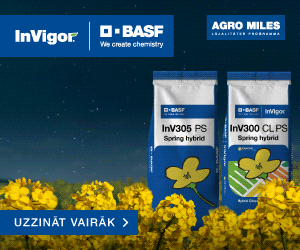 Basf 03 25
