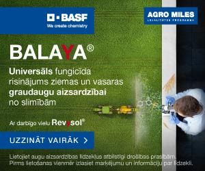 BASF Balaya Maijs 25