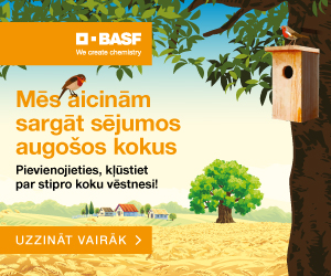 BASF Stiprie koki nov dec 23